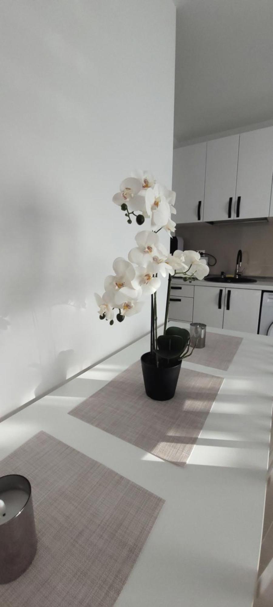 Brancoveanu Apartament'S Bucharest Exterior photo